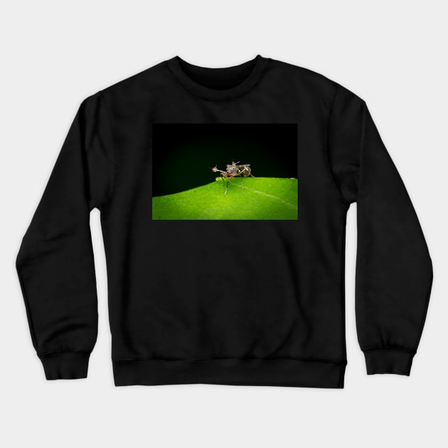 An unique looking Stalk-eyed fly (Diopsidae) Crewneck Sweatshirt by AvonPerception